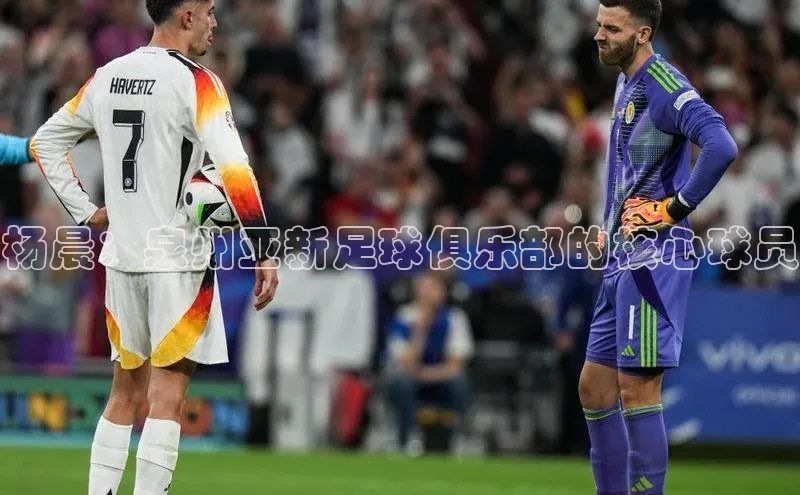 球速体育下载百度安全社区杨晨：泉州亚新足球俱乐部的核心球员