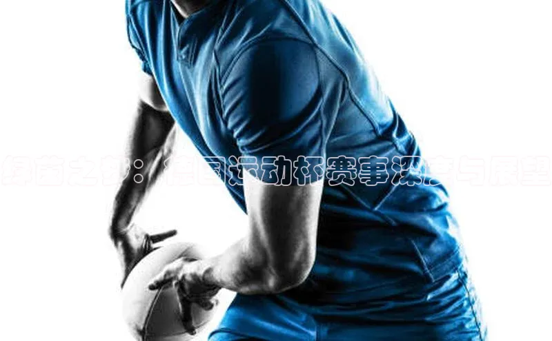 球速体育官网宇信科技绿茵之梦：德国运动杯赛事深度与展望