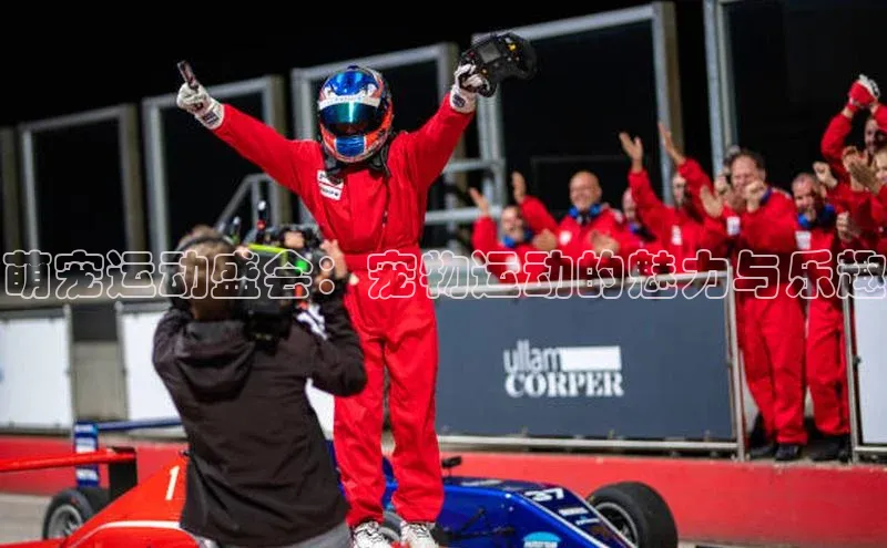 球速app官方入口文心一言萌宠运动盛会：宠物运动的魅力与乐趣