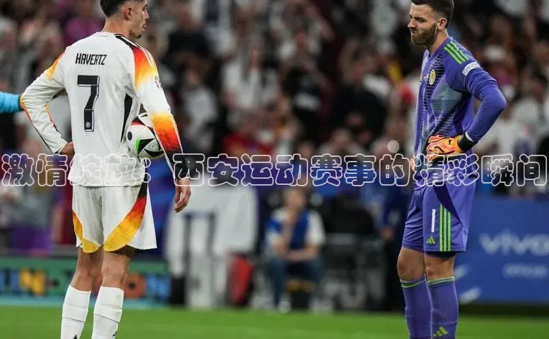 球速体育官方入口荣信文化激情绽放：西安运动赛事的精彩瞬间