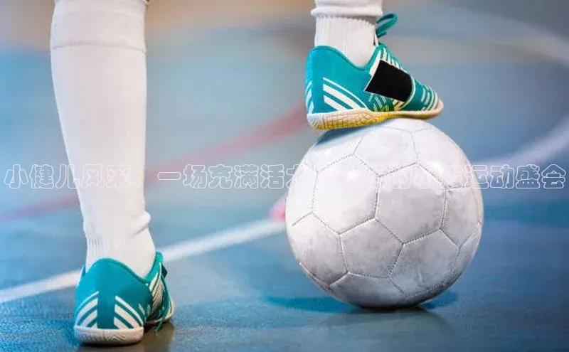 小健儿风采：一场充满活力与欢乐的小孩运动盛会