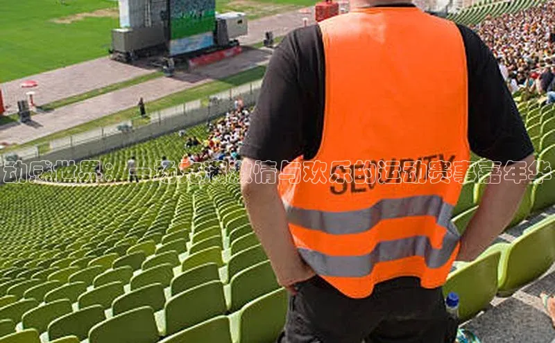 动感世界：一场充满激情与欢乐的运动赛事嘉年华