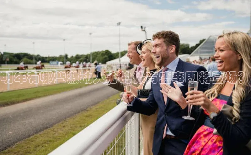 明年有哪些激动人心的体育盛事即将登场？