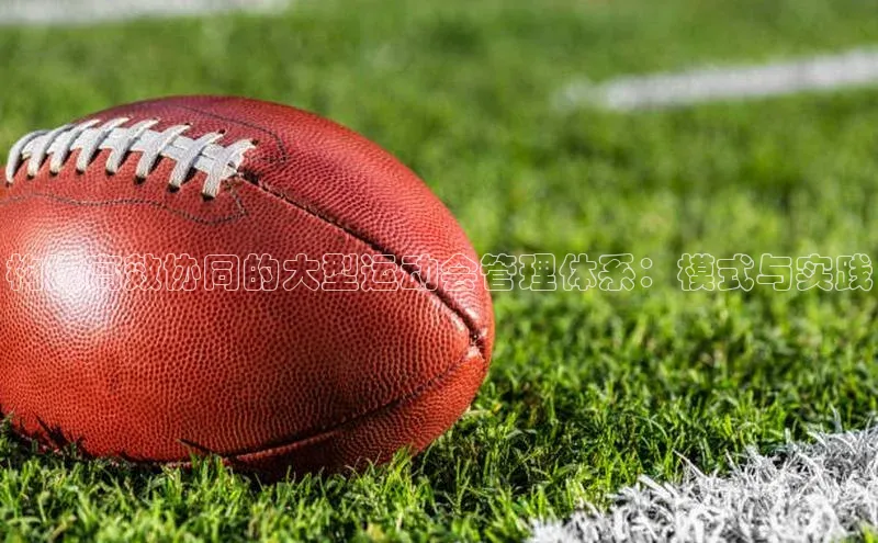 构建高效协同的大型运动会管理体系：模式与实践