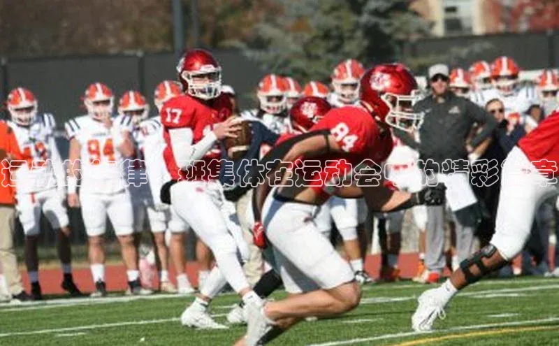 运动的旋律：班集体在运动会中的精彩篇章