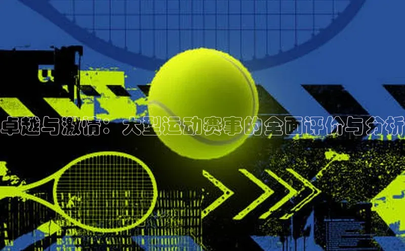 卓越与激情：大型运动赛事的全面评价与分析
