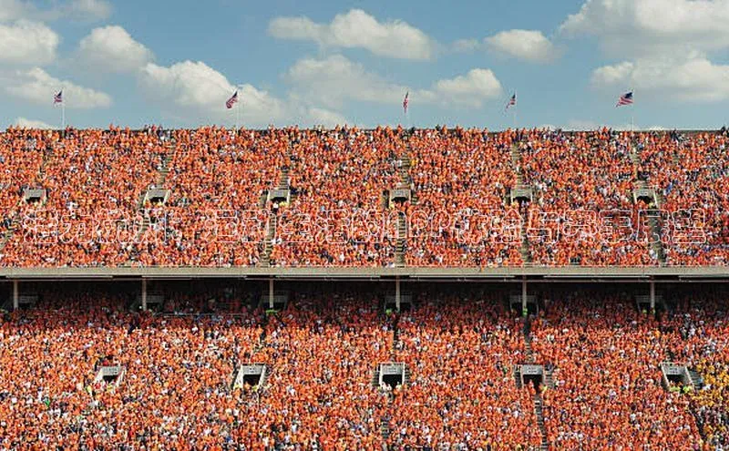 活力杭州：运动生活的APP体验与赛事展望