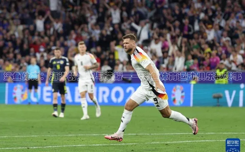 鲨鱼体育：海洋的竞技与荣耀——鲨鱼体育运动俱乐部赛事