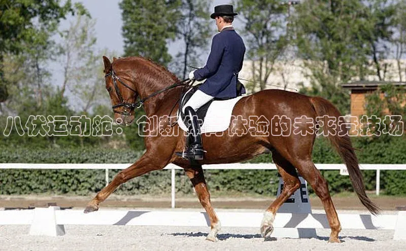 球速体育app下载地址手机版