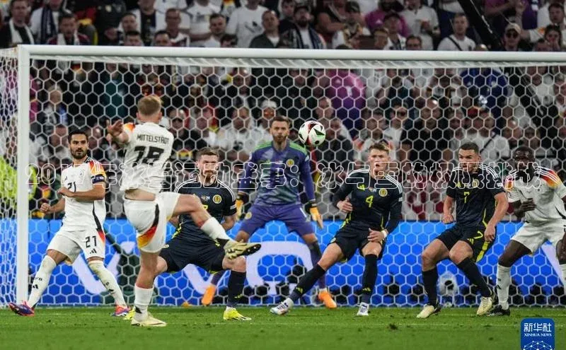 球速体育平台官网入口