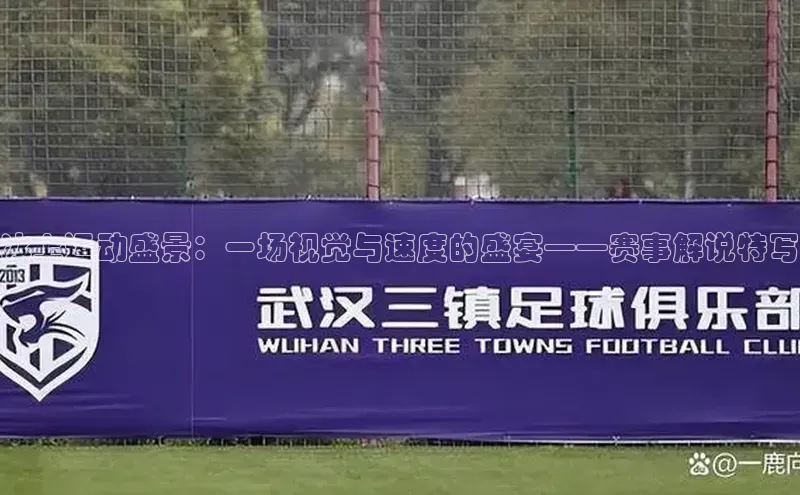 冰上运动盛景：一场视觉与速度的盛宴——赛事解说特写