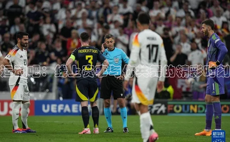 速球app下载入口