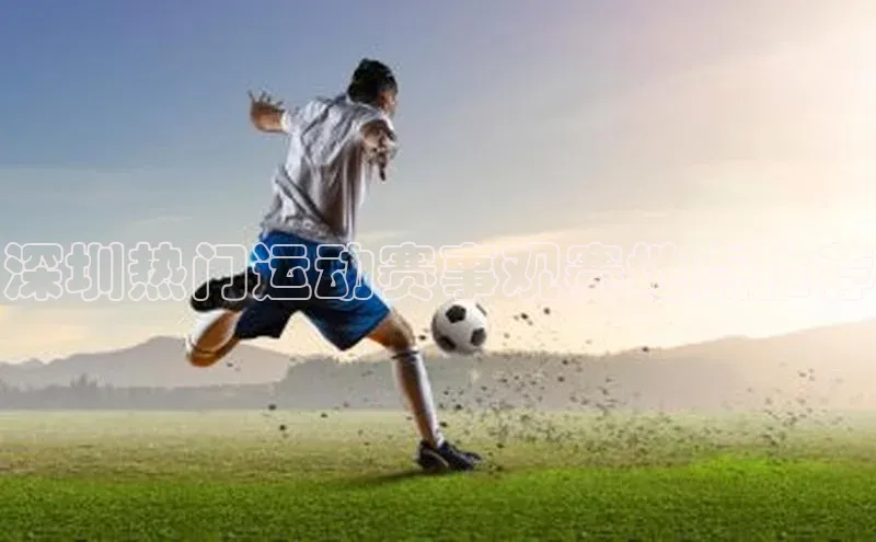 深圳热门运动赛事观赛地点推荐