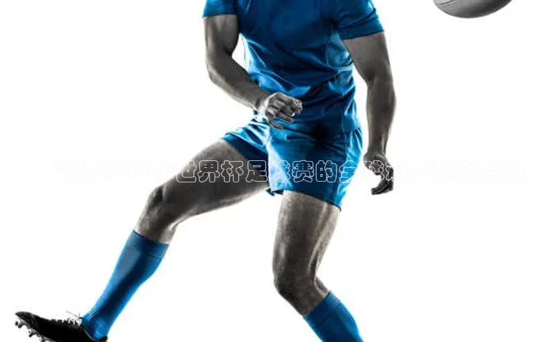 ：分析2023年世界杯足球赛的全球观众热力指数